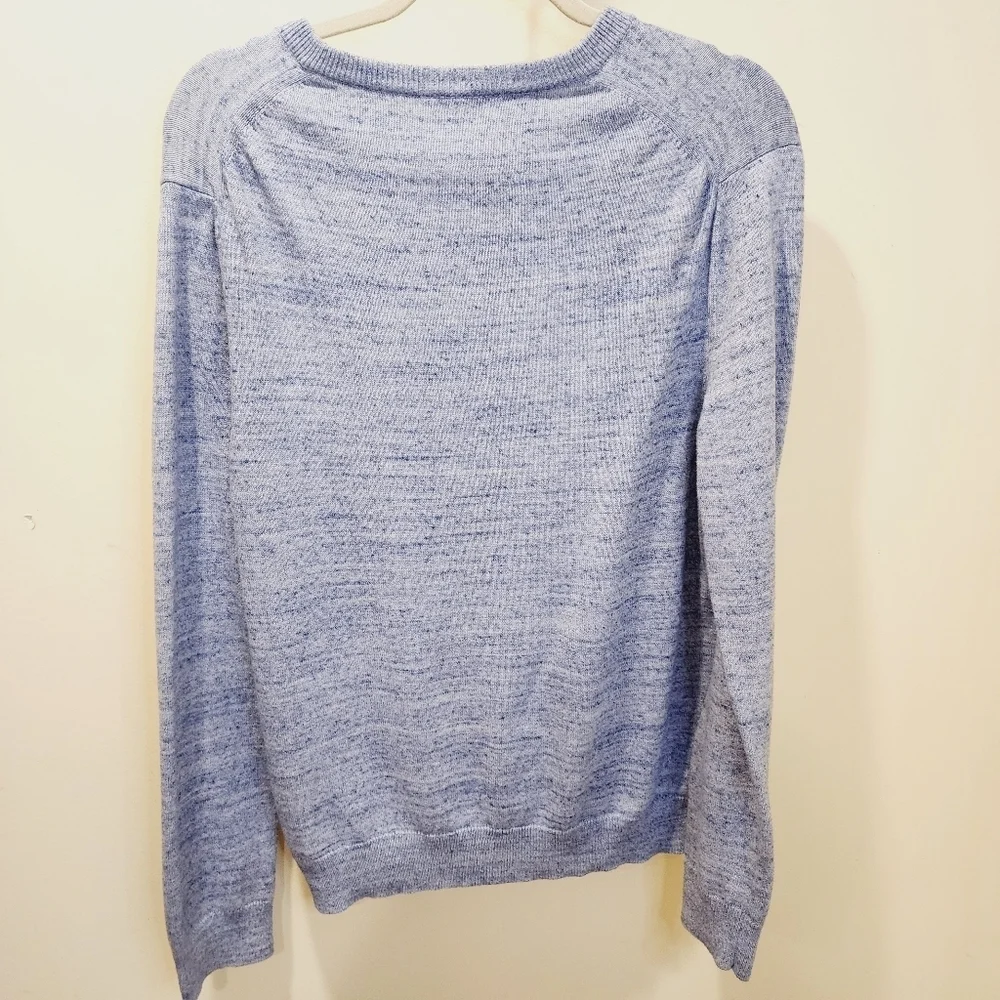 Express Men's Cotton V Neck Blue Lion Sweater size M